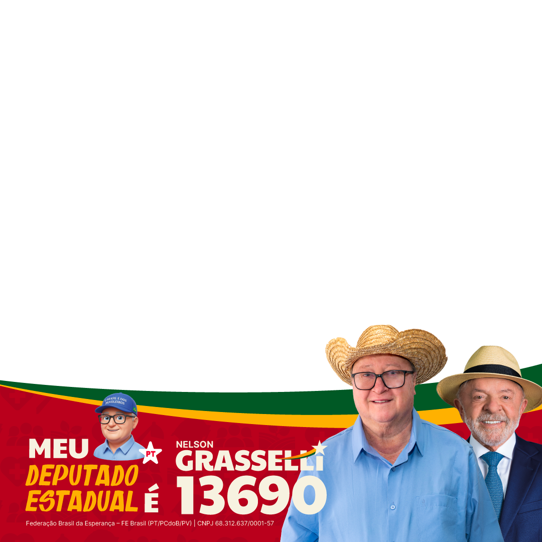 Moldura Meu deputado estadual